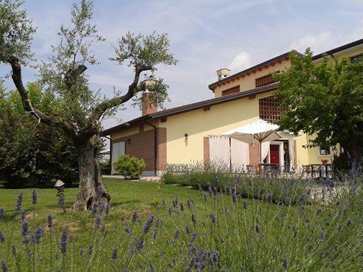 ホテルAgriturismo Anna Caterina カステルヌオーヴォ・デル・ガルダ エクステリア 写真