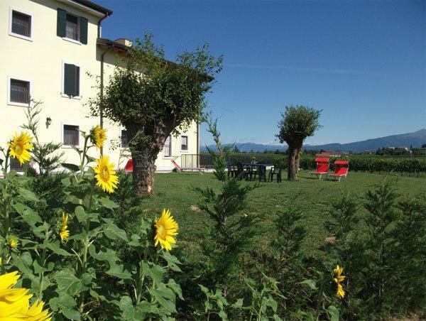 ホテルAgriturismo Anna Caterina カステルヌオーヴォ・デル・ガルダ エクステリア 写真